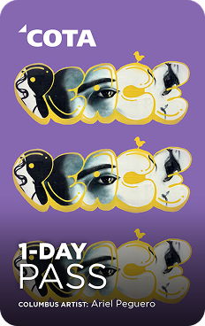 Community Artist Pass 1