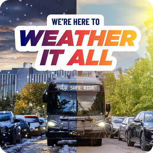 Weather It All