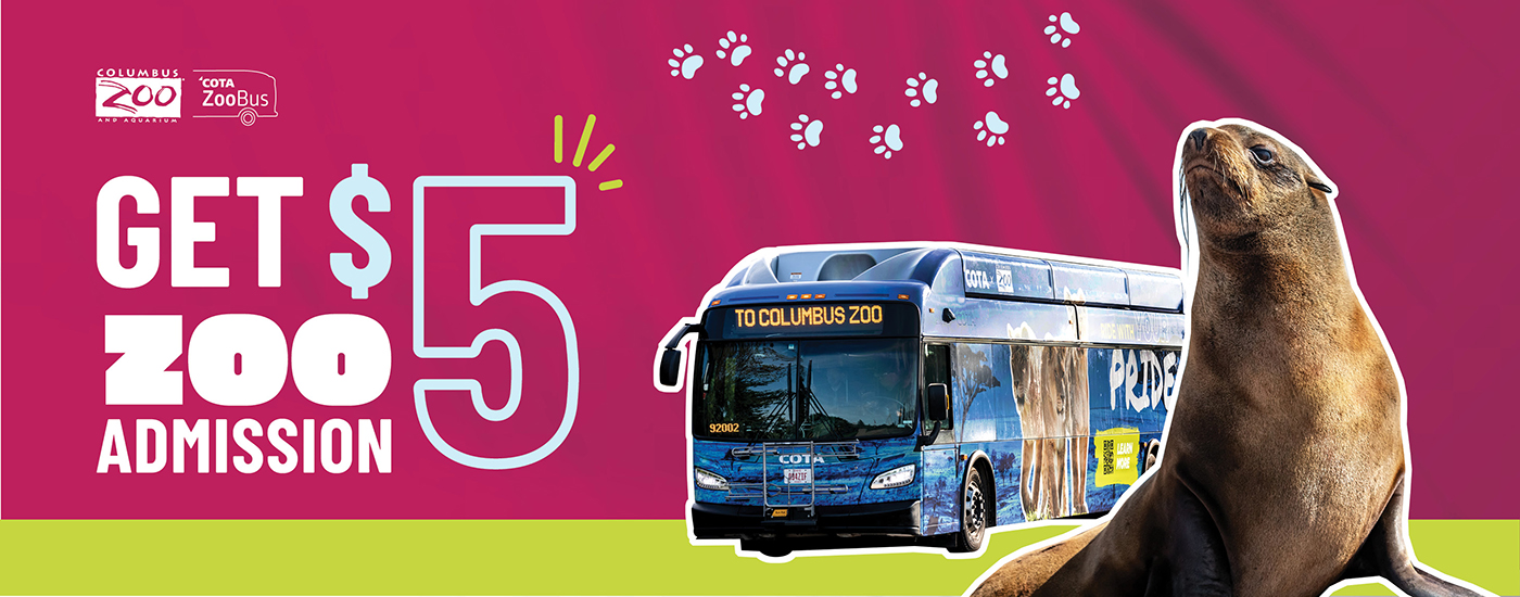 zoo bus