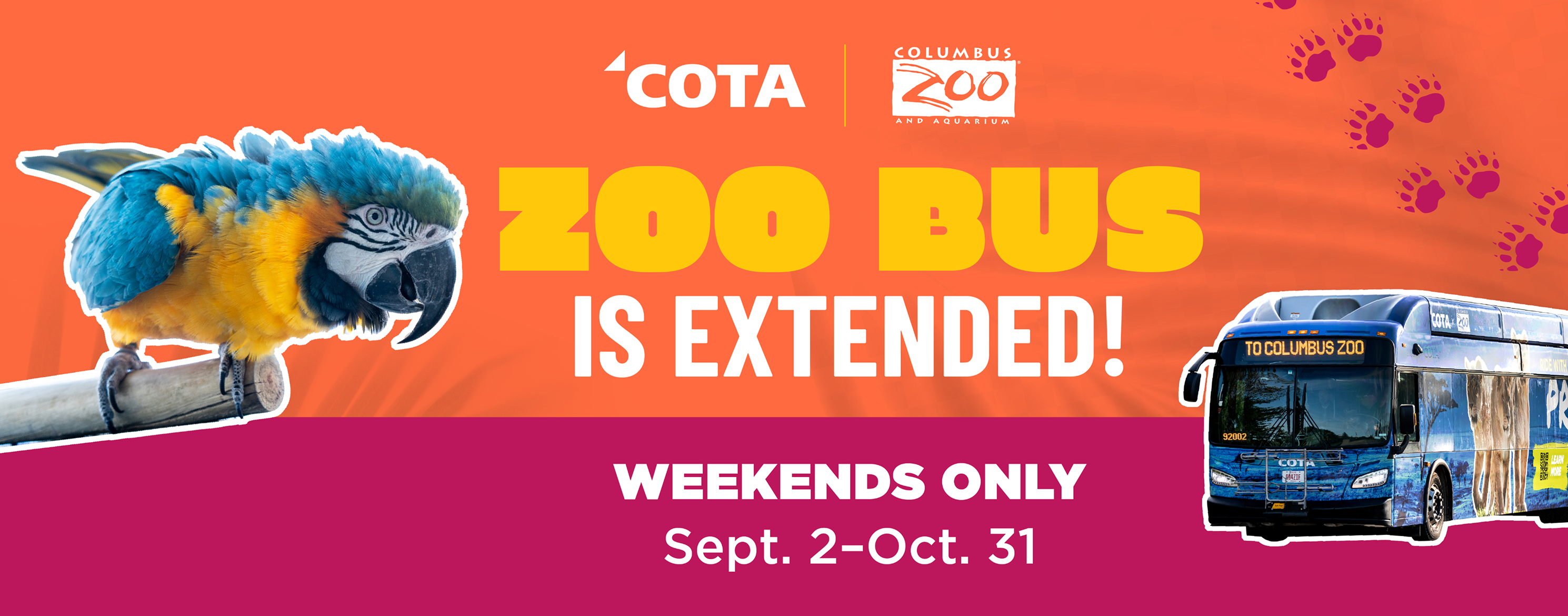 zoo bus
