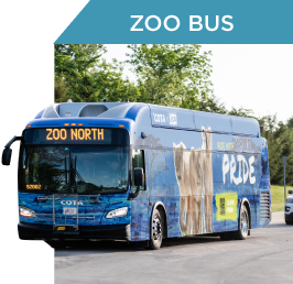 zoo bus