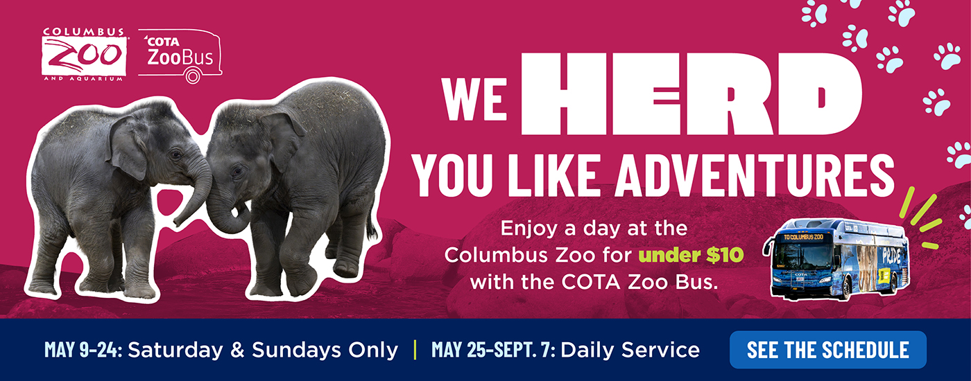 we herd you like adventure